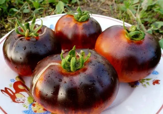 Tomato Black Baron: reviews, photo yield