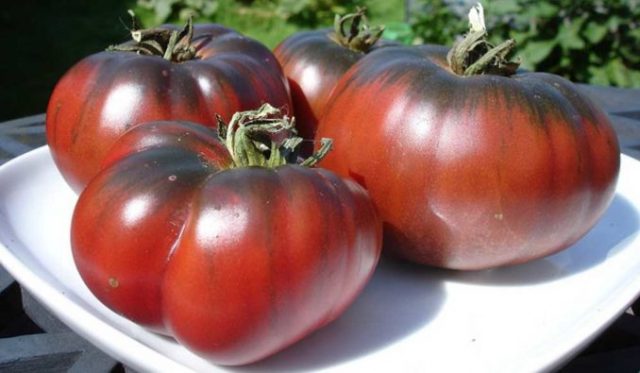 Tomato Black bison: variety description, photos, reviews