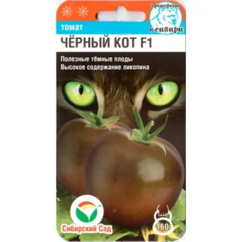 Tomato Black Cat F1: characteristics and description of the variety, reviews