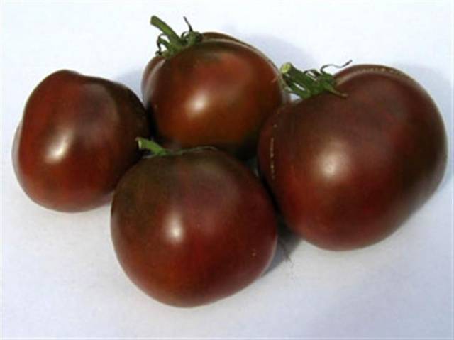 Tomato Black Prince