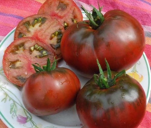 Tomato Black Prince