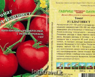 Tomato Blagovest: reviews, photos, yield