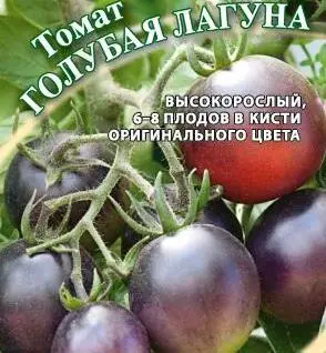 Tomato Blue Lagoon: variety description, photos, reviews