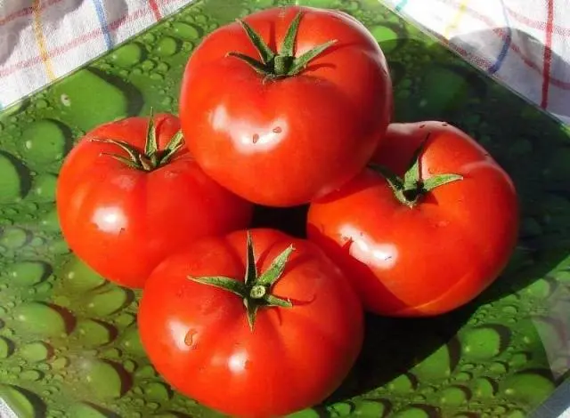 Tomato Bobkat F1: description, photo, reviews