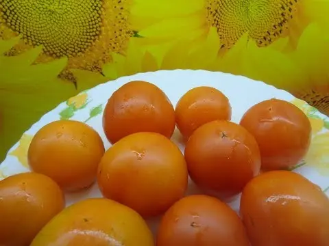 Tomato Charm: reviews, photos, yield