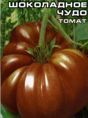 Tomato Chocolate Miracle: reviews, photos, yield