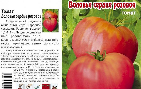 Tomato Cows heart: characteristics and description of the variety, yield indicators