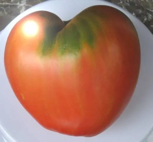 Tomato Danko: reviews, photos, yield