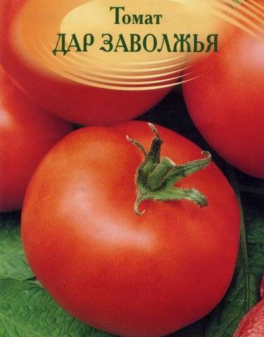 Tomato Dar Zavolzhya: description, photos, reviews