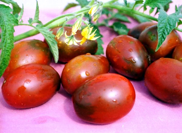 Tomato de barao black: description, photo, advantages