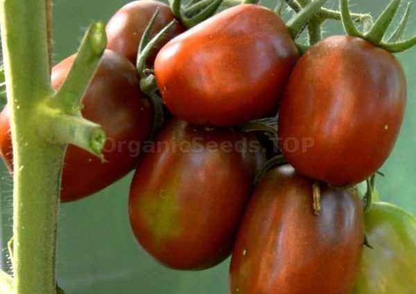 Tomato De Barao: characteristics and description of the variety