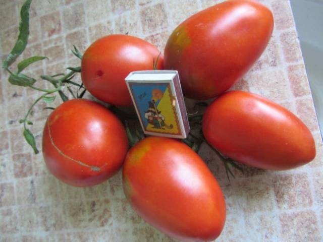 Tomato De Barao: characteristics and description of the variety