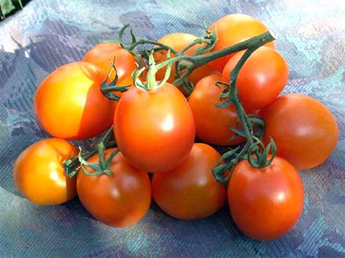 Tomato De Barao: characteristics and description of the variety