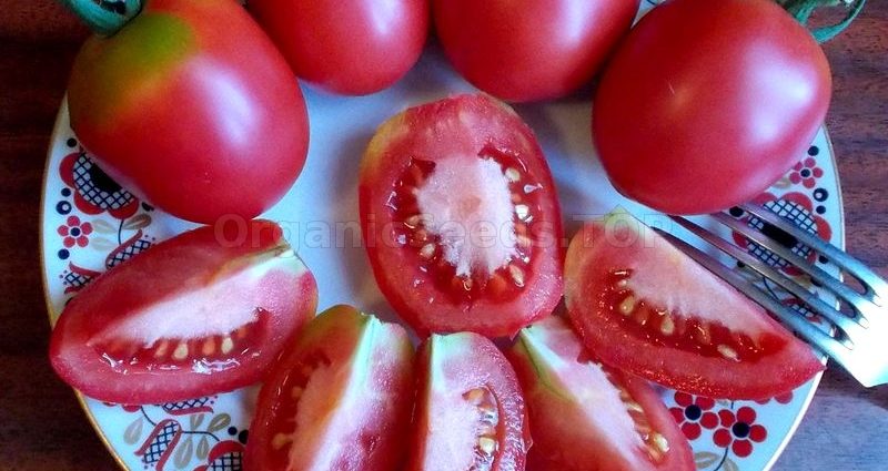 Tomato De Barao Pink &#8211; a unique indeterminate variety