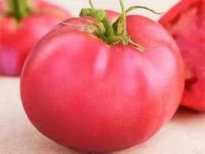 Tomato Demidov: reviews, photos, yield