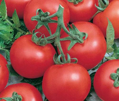 Tomato Doll F1: description, photo, reviews