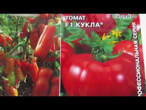 Tomato Doll F1: description, photo, reviews