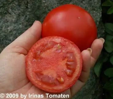 Tomato Dubok