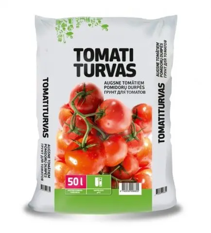 Tomato Duchess of taste: photo, description, reviews