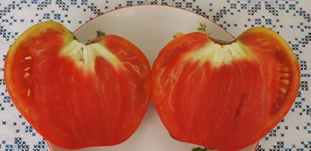 Tomato Fatima: variety description, photos, reviews