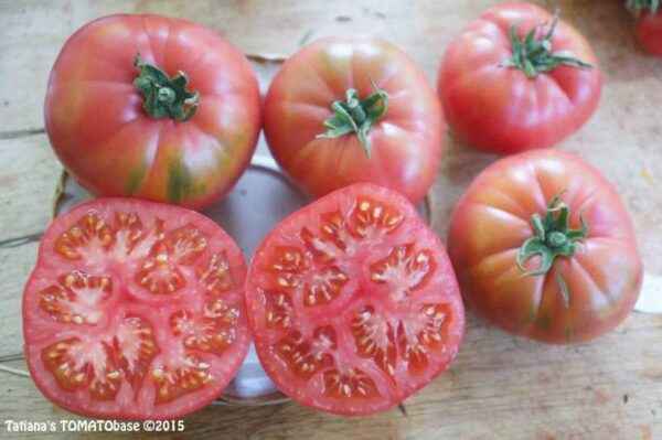 Tomato Gift to a woman: reviews, photos, yield