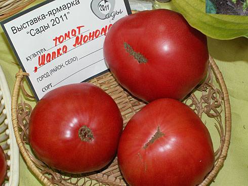 Tomato Hat Monomakh