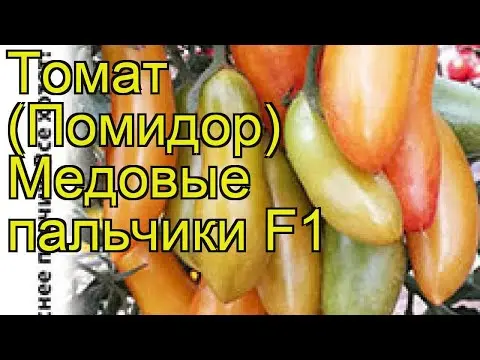 Tomato Honey fingers: characteristics and description of the variety