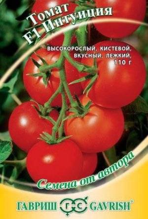 Tomato Intuition: reviews, photos, yield