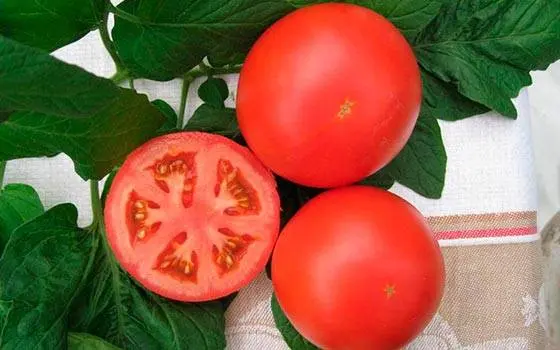 Tomato Irishka F1: reviews, photos, yield