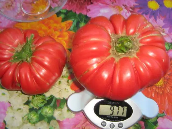 Tomato Japanese crab: reviews, photos, yield