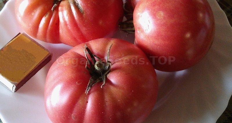 Tomato Japanese crab: reviews, photos, yield