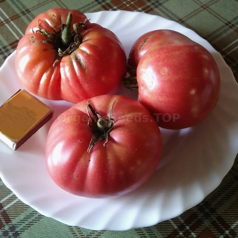 Tomato Japanese crab: reviews, photos, yield