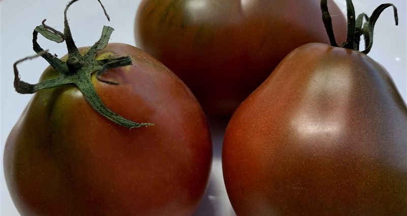 Tomato Japanese truffle