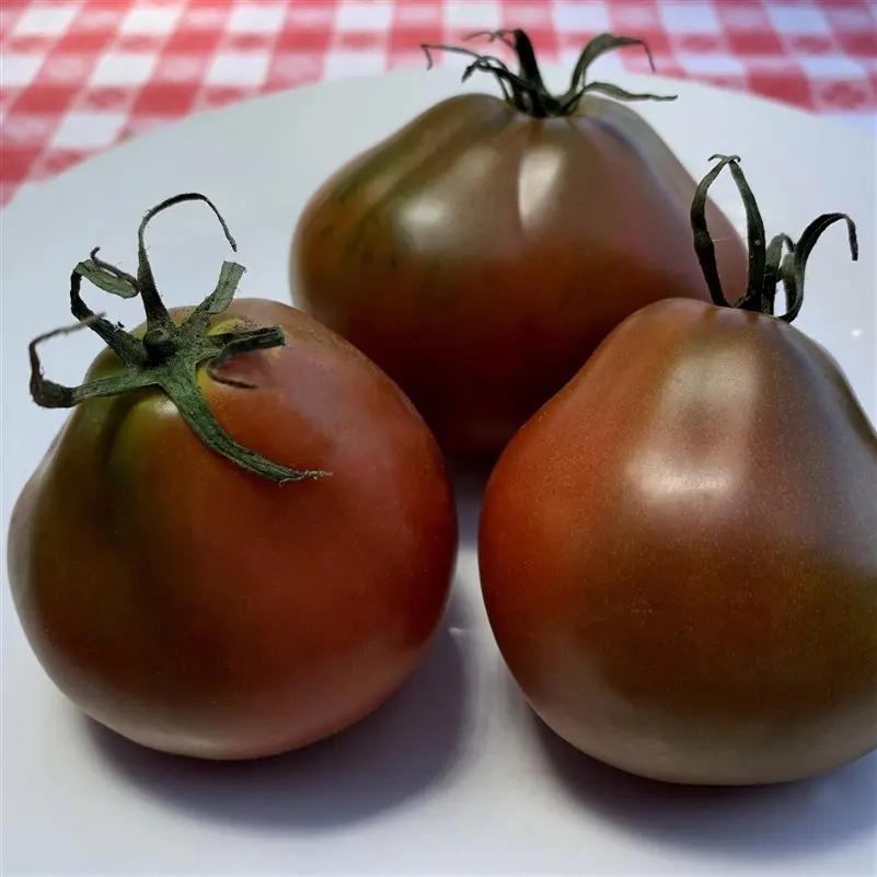 Tomato Japanese truffle