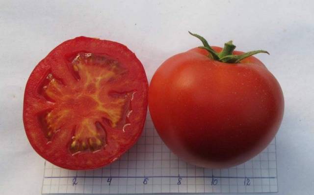 Tomato Juggler F1: characteristics and description of the variety