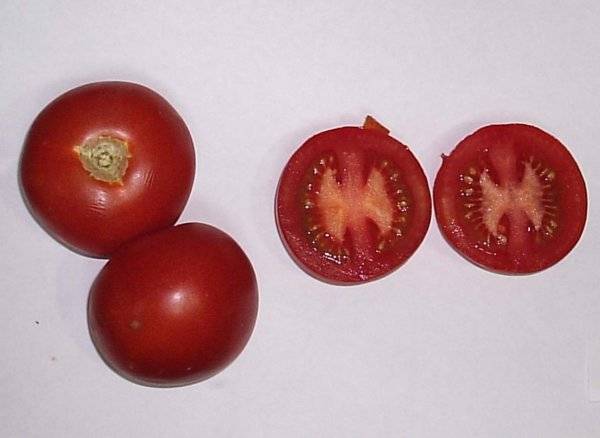 Tomato Katya: reviews, photos, yield