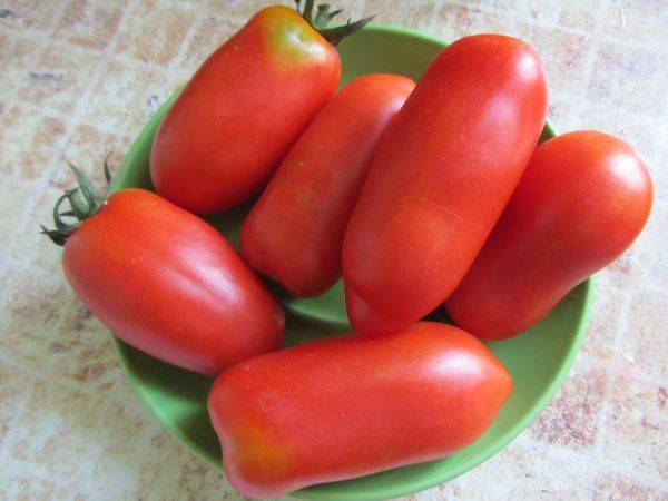 Tomato Khokhloma: reviews, photos