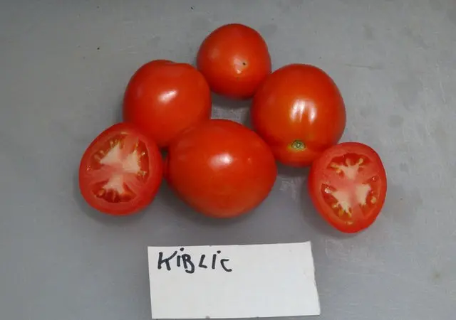 Tomato Kibits: variety description, photos, reviews