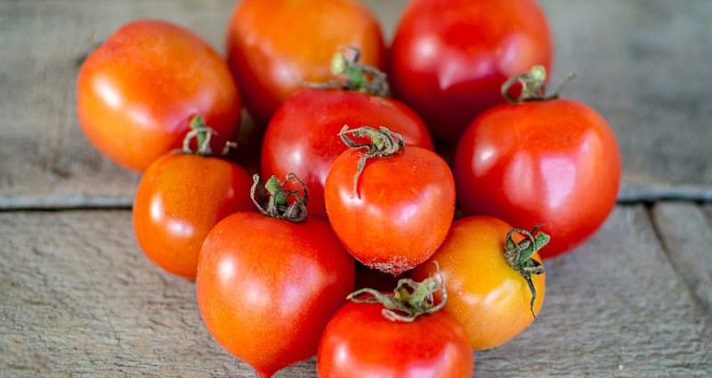 Tomato Kiss of geranium: characteristics and description of the variety