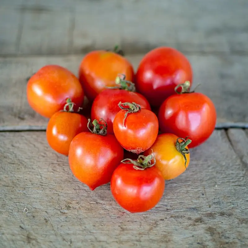 Tomato Kiss of geranium: characteristics and description of the variety