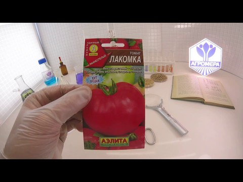 Tomato Lakomka: variety description, photos, reviews