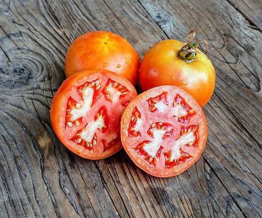 Tomato Long Keeper: reviews, photos, yield