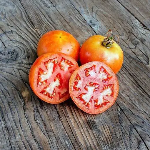 Tomato Long Keeper: reviews, photos, yield