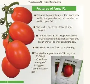 Tomato Love F1: characteristics and description of the variety