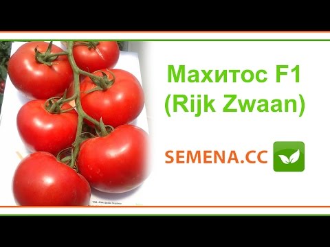 Tomato Mahitos F1