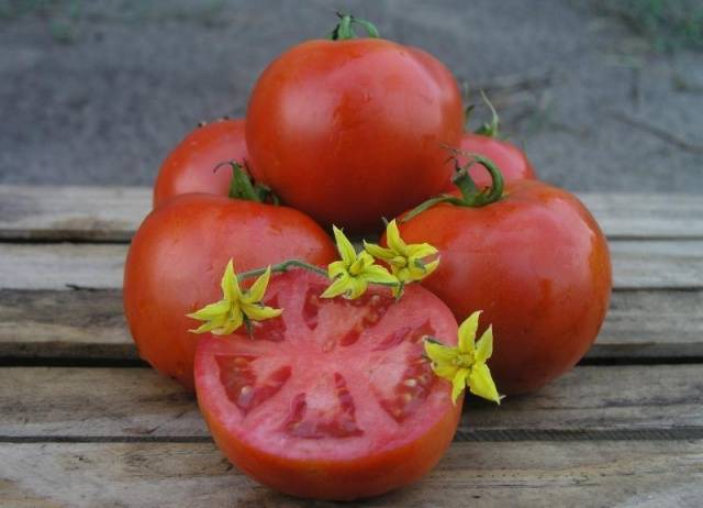 Tomato Mahitos F1