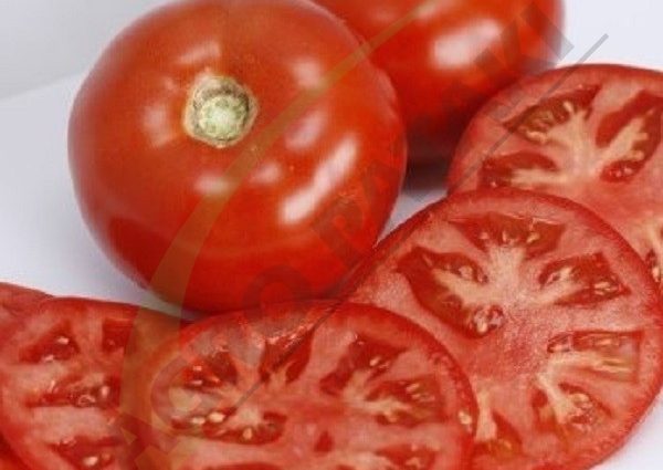 Tomato Mahitos F1