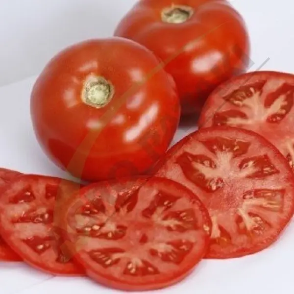 Tomato Mahitos F1