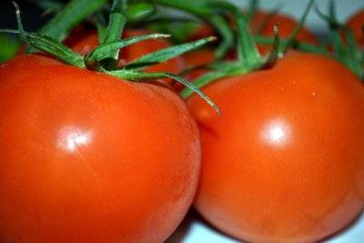 Tomato Major: characteristics and description of the variety