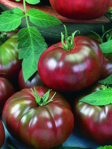 Tomato marshmallow in chocolate